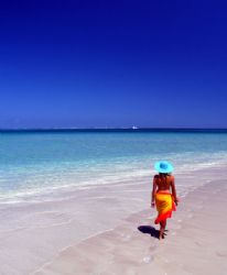 Coral Bay, Ningaloo Reef. by Penny Murphy 